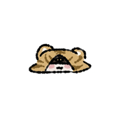 ｫ゜