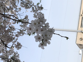 悠蘭