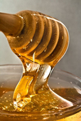 🐝🍯