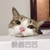 猫猫祟祟