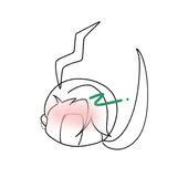 しろいちご