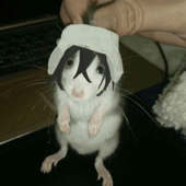 Aki