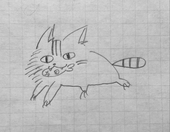 uminekoｻﾝ