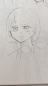 せた