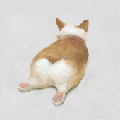 solanoko