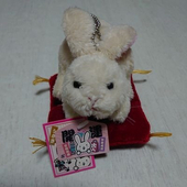 されん