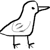 紫蘇鳥ﾀﾞﾝｺﾞ
