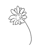 きさら