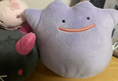 日向まひる。