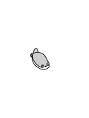 虹音