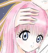 甘夏