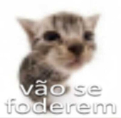 Domi