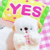 えぬちゃん
