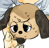 shiki
