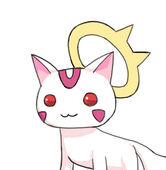천냥・テンニャン
