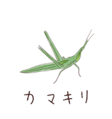 まつたけ