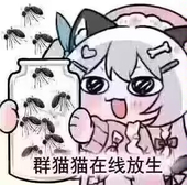 galo伽罗