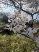 化身