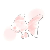 きんとと