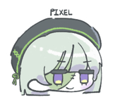 X.X