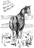 姫太