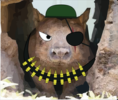 combatwombat