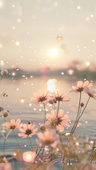 花と星
