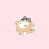 白玉あこ