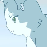 気まぐれ狸