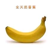 煤气豹@MQB