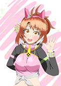 ひびきぬい
