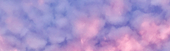 花月七瀬