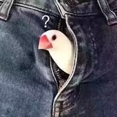 影黑