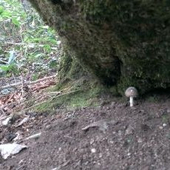 湫川仰角