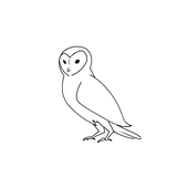 らんじゅ