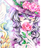 iris.