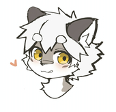 Kaku