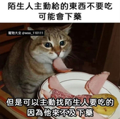 M-chai