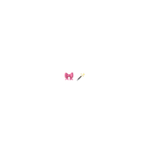 🎀🪄
