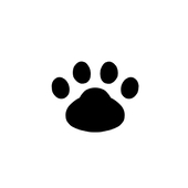 じゃが猫