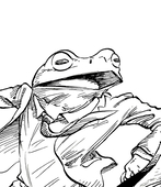 柳木ノゾム