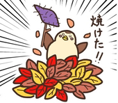 川蛍