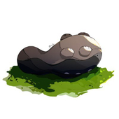 タニノ。