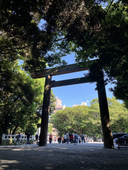 有刺鉄線