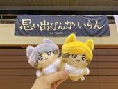 💪( ∵ )にむ