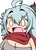 S・H指揮官