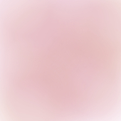 ぽんず 。