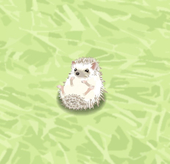 めめ