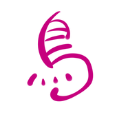カルガモ