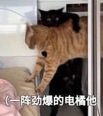 沐言na
